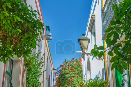 Photo for Mogan, Gran Canaria, Spain, the typical houuses with flowers of the vvillage - Royalty Free Image