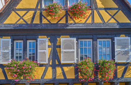 Photo for Colmar, France, Little Venice district,,detail of the facade of a colorful ancient house, former fishermen houses,.along the Lauch river - Royalty Free Image
