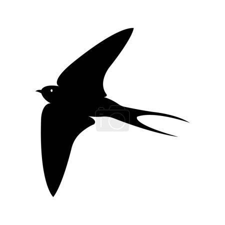 swallow icon vector illustration design template