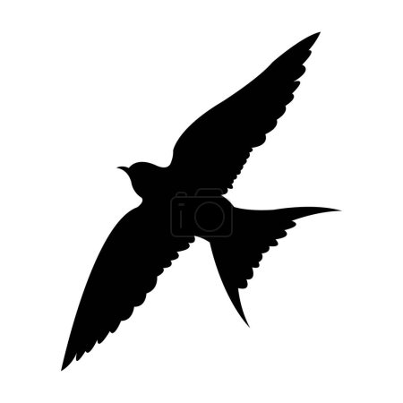 swallow icon vector illustration design template