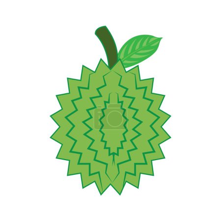 durian icône vectoriel illustration modèle de conception