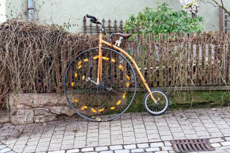 Photo for Vintage bicycle: penny farthing is leaning against a garden fence - Royalty Free Image