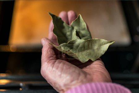 Photo for Hand holding bay leaves in front of an oven in a kitchen, dryed leaves, cooking with bay leaves, eliminate bad smells - Royalty Free Image