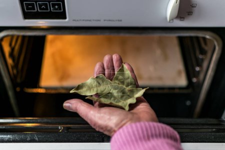 Foto de Mantener las hojas de laurel delante de un horno en una cocina, hojas secas, cocinar con hojas de laurel, eliminar los malos olores - Imagen libre de derechos