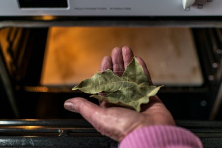 Photo for Hand holding bay leaves in front of an oven in a kitchen, dryed leaves, cooking with bay leaves, eliminate bad smells - Royalty Free Image
