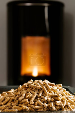 Téléchargez les photos : Modern domestic pellet stove, granules stove with flames - en image libre de droit