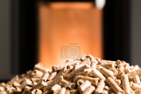 Foto de Modern domestic pellet stove, granules stove with flames - Imagen libre de derechos