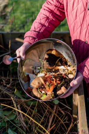 Person, die Küchenabfälle wie Gemüse, Obst, Eierschalen, Kaffeesatz in einen Komposter gibt, um Biodünger zu sortieren und herzustellen