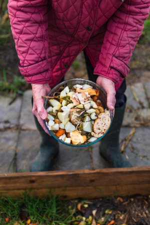 Person, die Küchenabfälle wie Gemüse, Obst, Eierschalen, Kaffeesatz in einen Komposter gibt, um Biodünger zu sortieren und herzustellen