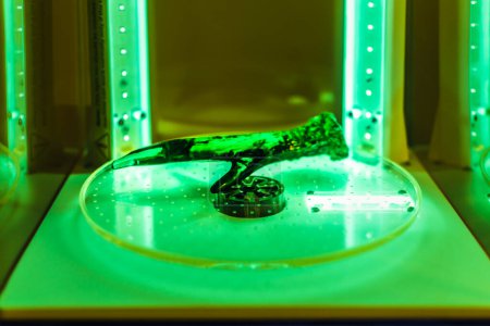 3D-Druck eines Hirschgeweihs beim Drehen in einer Heilungsmaschine mit UV-Licht