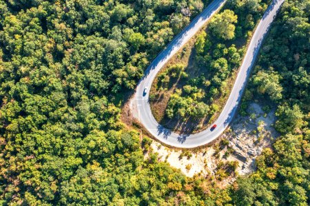 Top view, drone shot of curve of the road  in the pine woods in the mountain