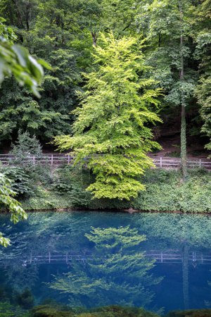 Téléchargez les photos : Beau lac bleu et vert Blautopf à Blaubeuren, Allemagne - en image libre de droit