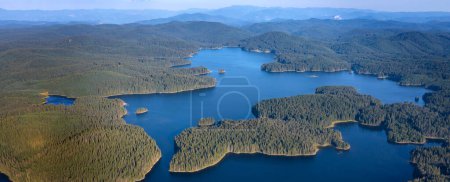 Téléchargez les photos : Beau panorama d'eau bleue et de forêt verte. Vue aérienne du barrage Shiroka Poliana, Bulgarie. - en image libre de droit