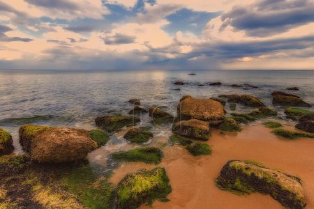 Foto de Vista panorámica del paisaje marino con rocas con musgo en la playa - Imagen libre de derechos