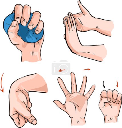 Photo for Hand And Wrist Strengthening Exercises - Royalty Free Image