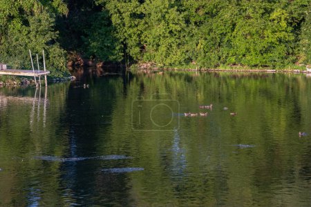 Photo for Summer Serenity: Winnebago Lake, Wisconsin, USA - Royalty Free Image