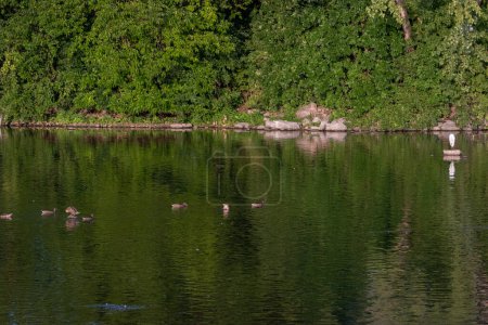 Photo for Summer Serenity: Winnebago Lake, Wisconsin, USA - Royalty Free Image