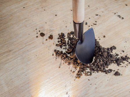 Téléchargez les photos : Mini shovel in the soil. - en image libre de droit