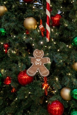 Photo for Christmas cookies hang on christmas tree. - Royalty Free Image