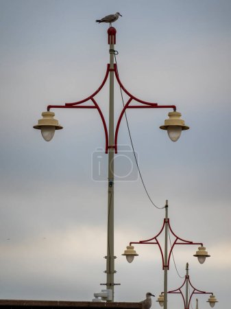 Téléchargez les photos : Mouette debout au réverbère dans le parc d'attractions néerlandais Scheveningen Pier à La Haye - en image libre de droit