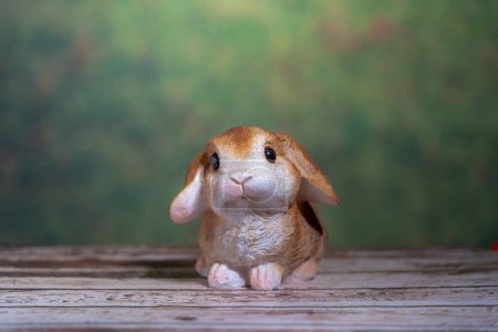 Photo for Rabbit on wooden table , Pascha or Resurrection Sunday concept - Royalty Free Image