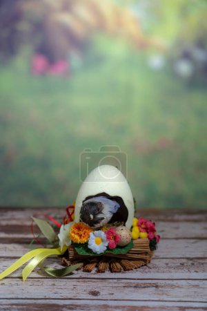 Photo for Easter Rabbit ornement , Pascha or Resurrection Sunday concept - Royalty Free Image