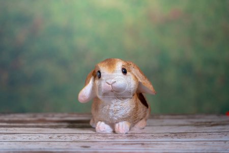 Photo for Rabbit on wooden table , Pascha or Resurrection Sunday concept - Royalty Free Image