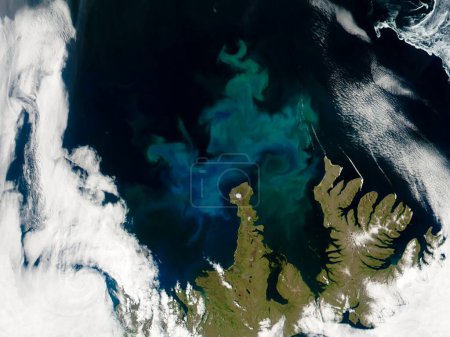 Top view of phytoplankton bloom on the sea in Iceland. Abstract dark blue and white natural swirl pattern on the ocean. Elements of this image furnished by NASA.