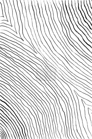Photo for Abstract Line Art Texture, Minimalist Line Art, Black and White Line Drawing, Modern Minimalist Wall Art, Curved Stripes Hand Drawing. - Royalty Free Image