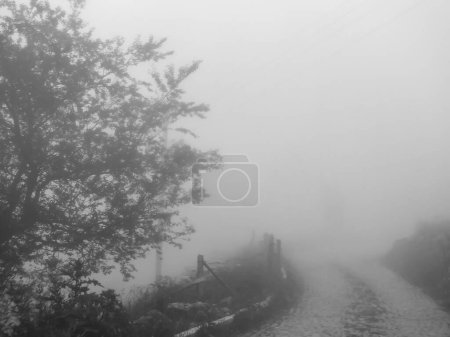Téléchargez les photos : Route de village par temps brumeux, concept photo noir et blanc. - en image libre de droit