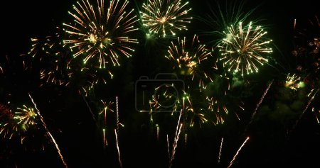 Green firework in night time celebrate national holiday. Green Firework celebrate anniversary happy new year 2024, 4th of july holiday festival. Countdown to new year 2024 festival party background