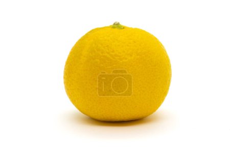 Photo for Ripe yellow satsuma orange (Citrus unshiu) isolated on white background - Royalty Free Image