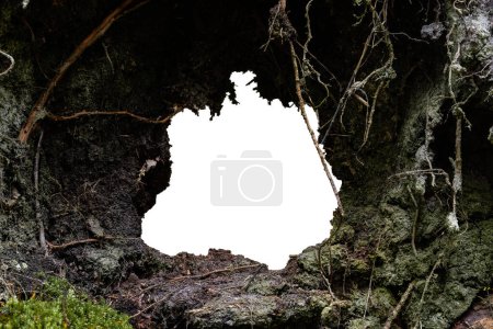 Photo for Hole in dark mud, white background with clipping path - Royalty Free Image