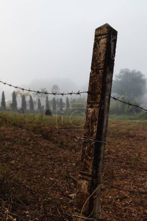 Téléchargez les photos : Barbed wire around the field in misty morning, close up - en image libre de droit