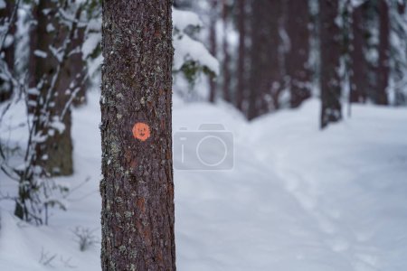 Foto de Marcador de sendero naranja con una cara sonriente en un pino en el Parque Nacional Repovesi en invierno. Kouvola, Finlandia. - Imagen libre de derechos