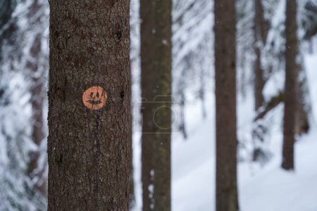 Foto de Marcador de sendero naranja con cara de pino en el Parque Nacional Repovesi en invierno. Kouvola, Finlandia. - Imagen libre de derechos