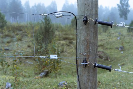 Foto de Valla eléctrica en un poste de madera en un bosque brumoso - Imagen libre de derechos