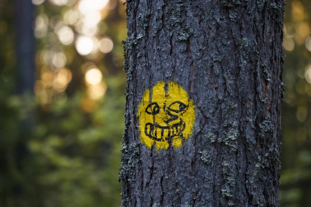 Foto de Marcador amarillo con una cara en un pino en el Parque Nacional del Sur de Konnevesi, Rautalampi, Finlandia. 26 de agosto de 2023. - Imagen libre de derechos