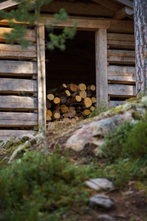 Photo for Firewood shed in Southern Konnevesi National Park, Finland. Selective focus - Royalty Free Image