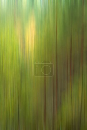 Foto de Fondo verde abstracto con movimiento hojas verdes borrosas y troncos de árbol - Imagen libre de derechos