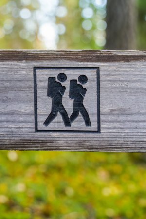 Photo for Wooden hiking trail sign in summer, close up with out-of-focus background. - Royalty Free Image