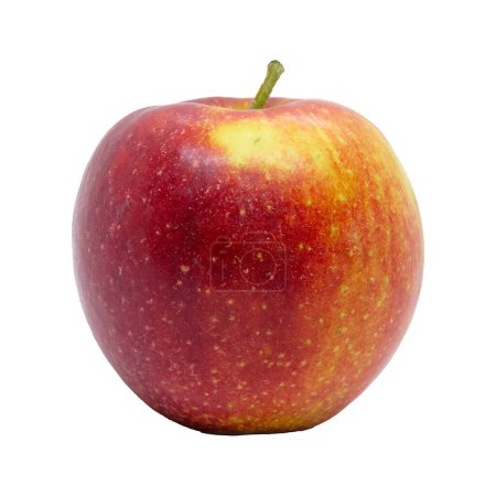 Photo for Red Jonagold apple isolated on white background with clipping path - Royalty Free Image