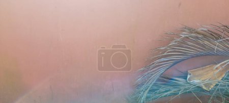 Photo for Pink background with rustic texture,sosa rustic minimalist - Royalty Free Image