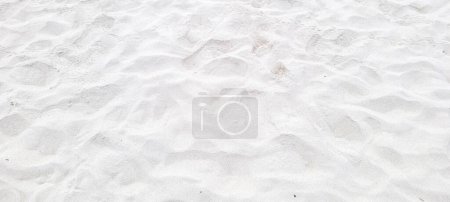 Photo for Image of white sand beach on the coast of Brazil on a sunny - Royalty Free Image