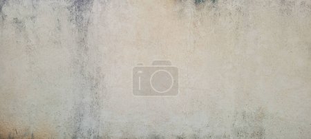 white wall textured background with leaf shadows and tree branches