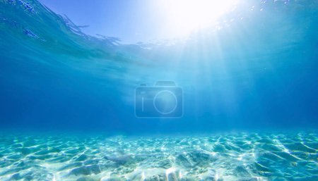 Photo for Underwater with sunlight pouring in, glistening water crests on white sand, and clear tropical waters. - Royalty Free Image