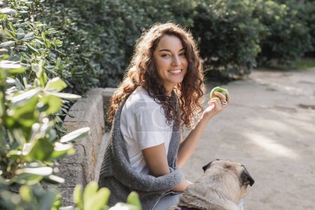 Smiling curly and brunette woman in t-shirt and sweater holding fresh apple and looking at camera near pug dog on stone bench in park in Barcelona, Spain 
