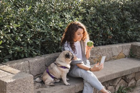 Smiling and curly young woman in casual clothes using mobile phone and wired earphones while holding fresh apple near pug dog on stone bench in park in Barcelona, Spain 