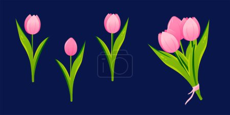 Téléchargez les photos : Ensemble de fleurs de tulipes. Plantes à fleurs aux pétales roses. Illustration vectorielle botanique sur fond isolé. Fleurs de printemps pour la fête des femmes, la fête des mères, Pâques et autres jours fériés. Tulipes roses - en image libre de droit