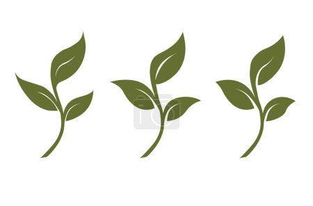 Téléchargez les photos : Vecteur germe trois feuilles, concept de symbole créatif organique. biocosmétiques naturels, nature - en image libre de droit